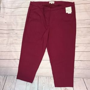 NWT Molly + Isadora Capris